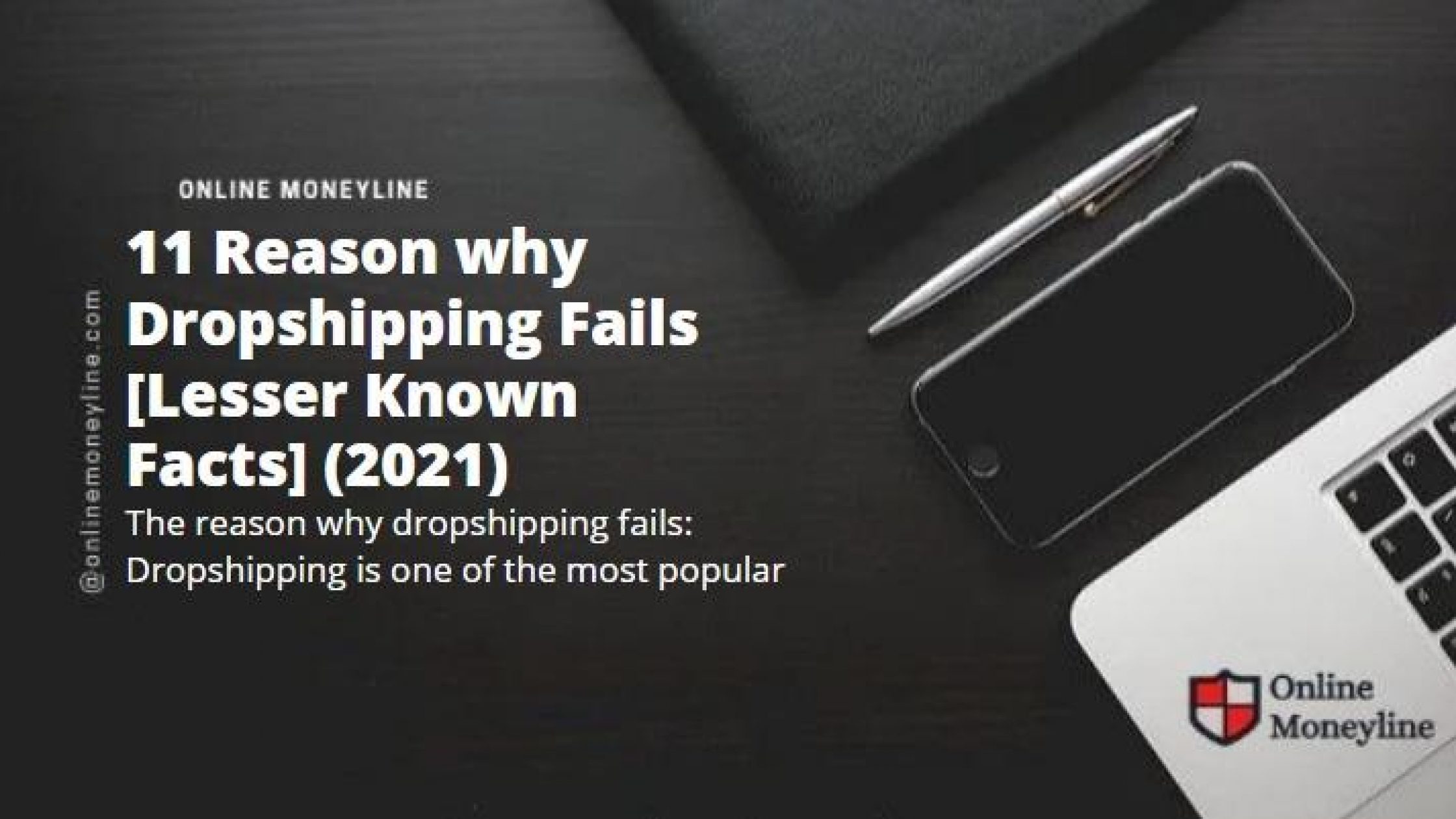 20 Reasons why Dropshipping Fails [Lesser Known Facts] (2022)