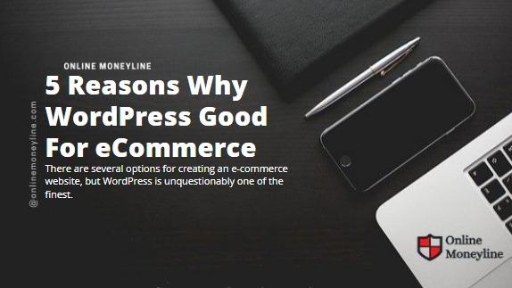 You are currently viewing 5 Reasons Why WordPress Good For eCommerce