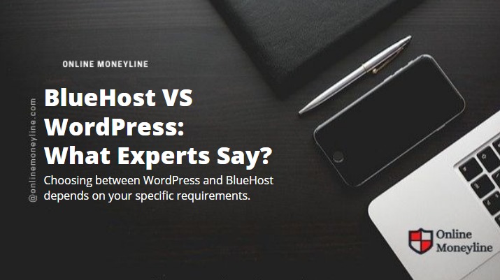 Read more about the article BlueHost VS WordPress: What Experts Say?