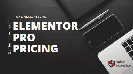 You are currently viewing Elementor Pro Pricing